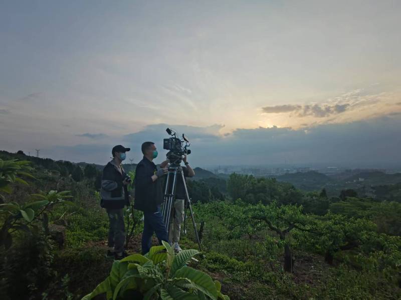 创意破圈！港北区电商产品宣传视频用故事化叙事引爆流量
