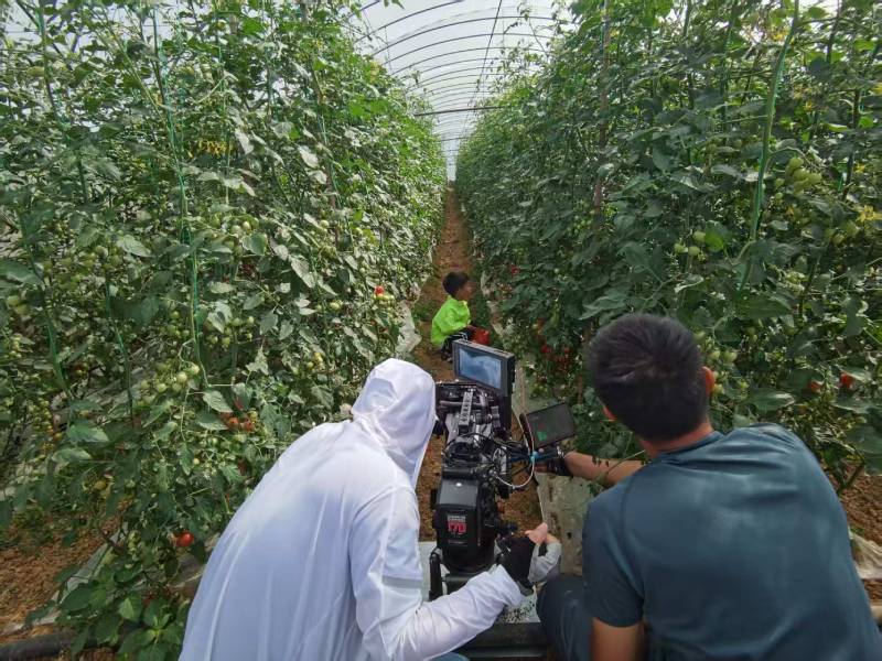 港北区产品宣传视频拍摄公司进阶指南，助力品牌抢占传播高地